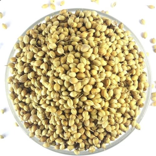 Coriander Seeds