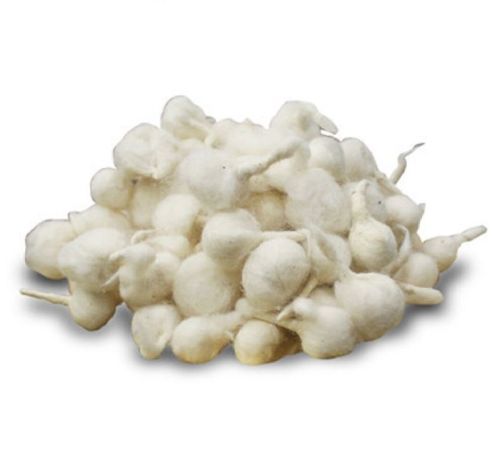 cotton wicks