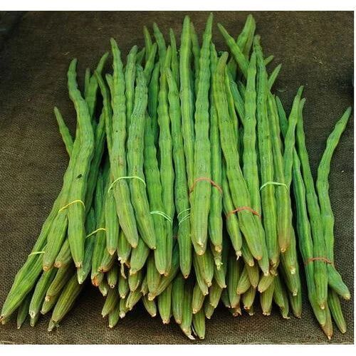 fresh drumsticks