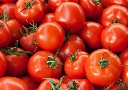 Fresh Tomato