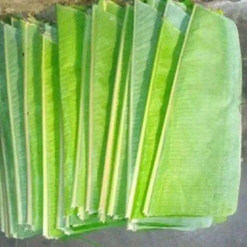 Banana Leafs