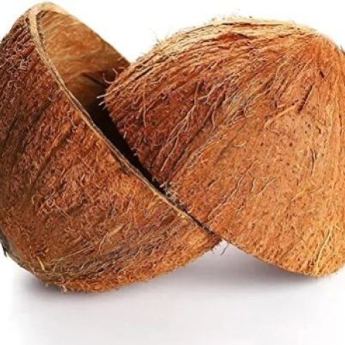 Brown Coconut Shell