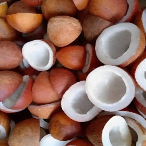 Natural Coconut Copra