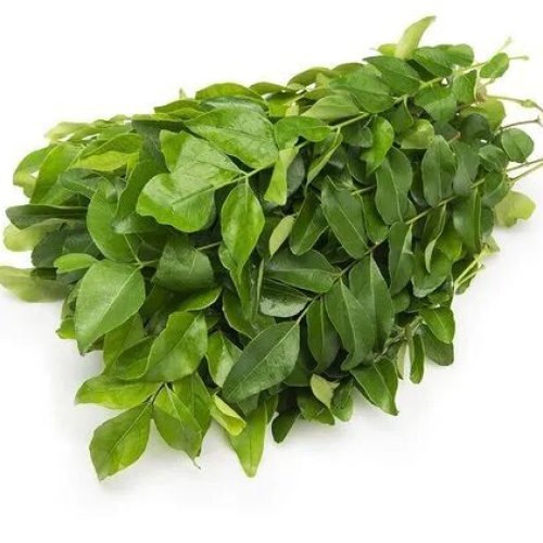 Natural Curry Leaf