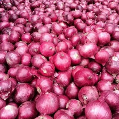 Natural Red Onion
