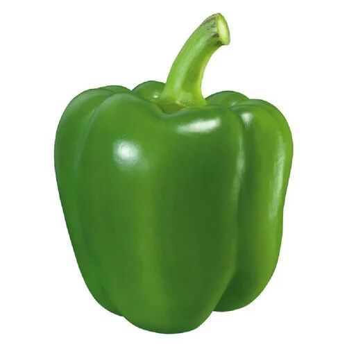 fresh green capsicum