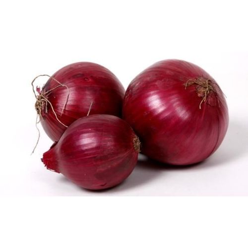 fresh red onion