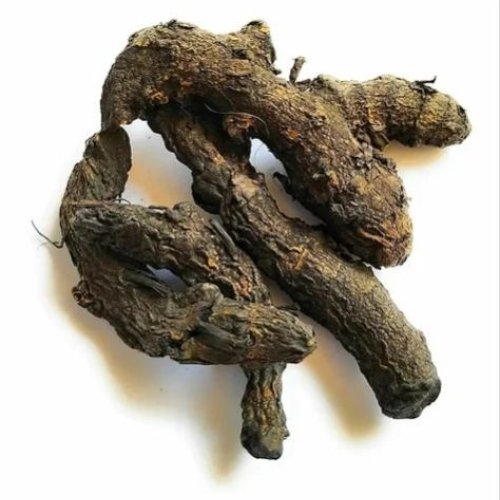 Dried Turmeric Finger