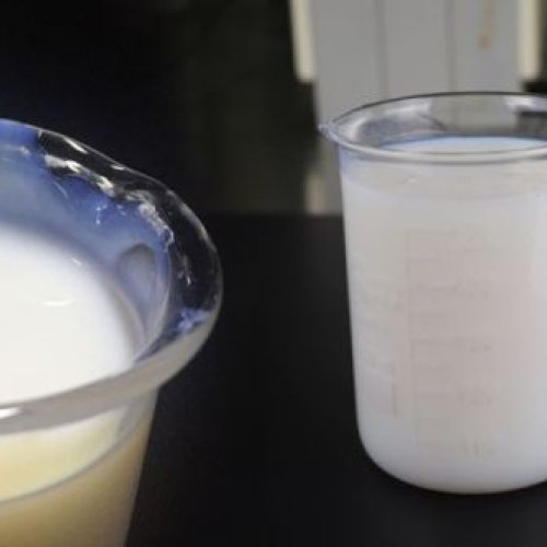 Pure Acrylic Copolymer Emulsion