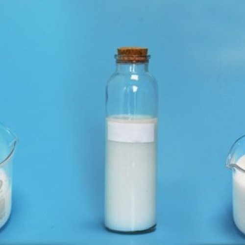 Styrene Acrylic Copolymer