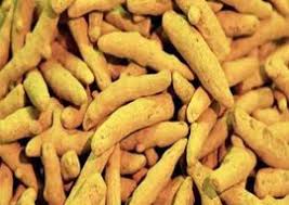 Turmeric Finger