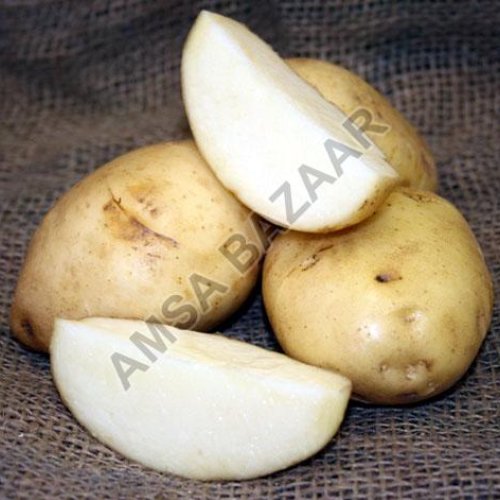 Chipsona Potato