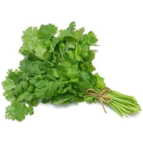 Fresh Coriander Leaves