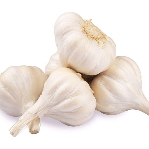 Fresh Garlic