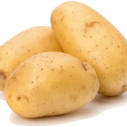 Fresh Potato