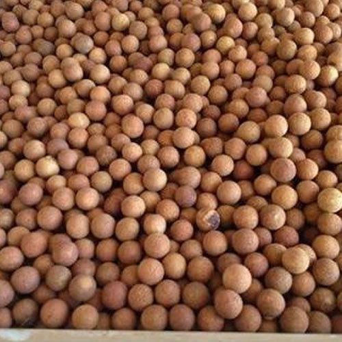 Sandalwood Seeds