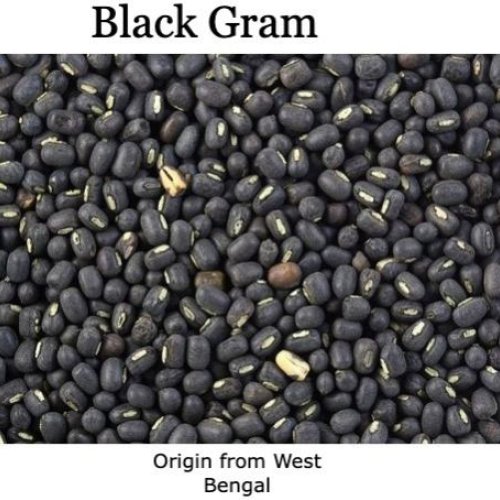 Black Gram ( Mashkolai Daal)