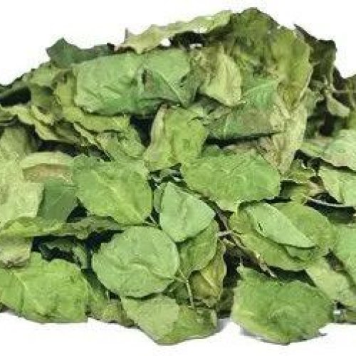 Dried Moringa Leaves