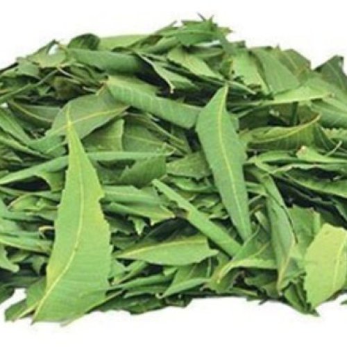 Dried Neem Leaves