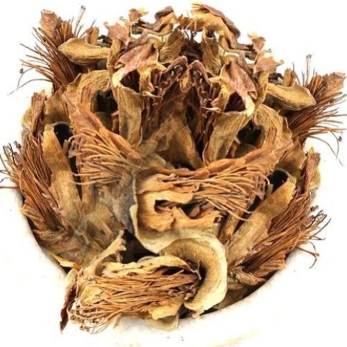 Dried Semal Phool