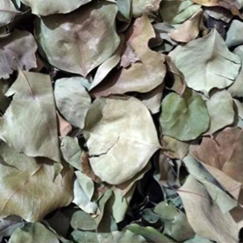 Dried Sheesham Leaves