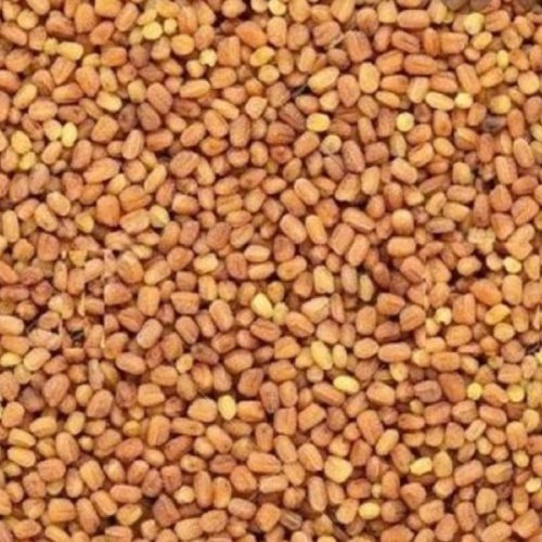 Kalmegh Seeds