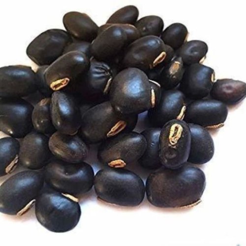 Kaunch Seeds