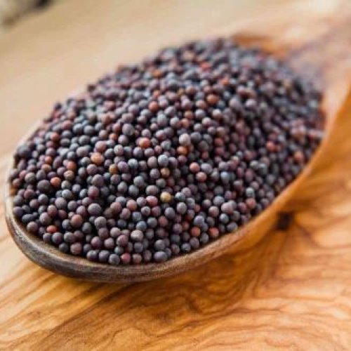 Black Small Sortex Mustard Seeds