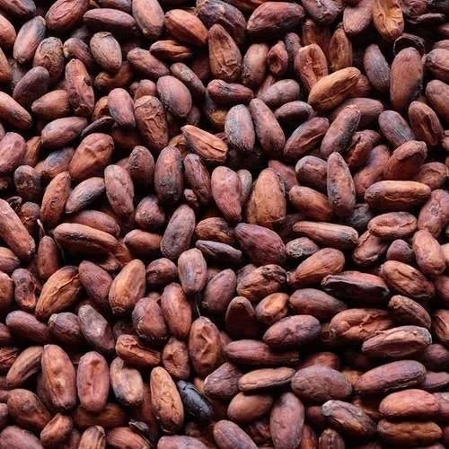 Cacao Nibs