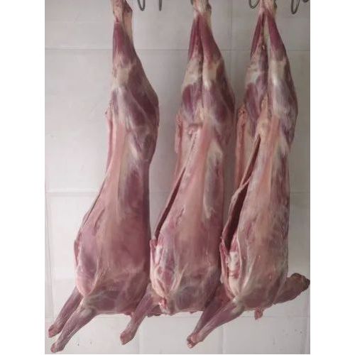 Fresh Mutton Carcass