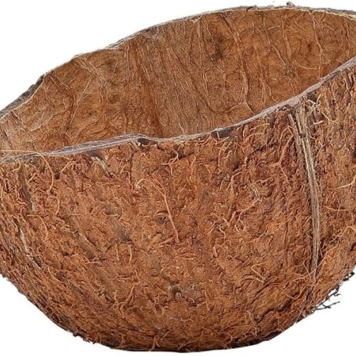 Coconut Shells