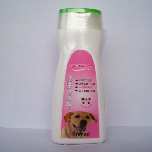 Azadiracha Indica Triclosan Shampoo