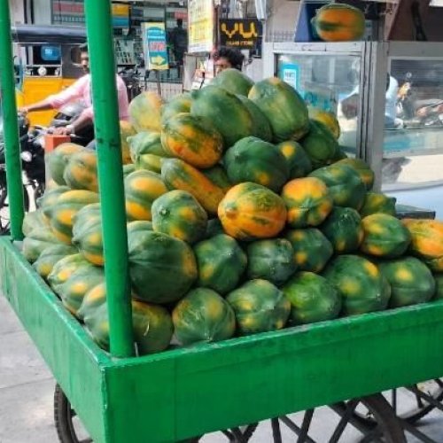 Agricultural Market Linkage Services