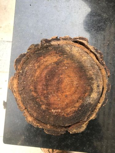 White Sandalwood Logs