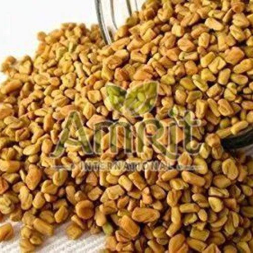 Fenugreek Seeds