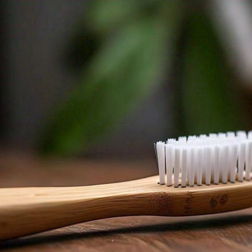 Organic Bamboo Toothbrush