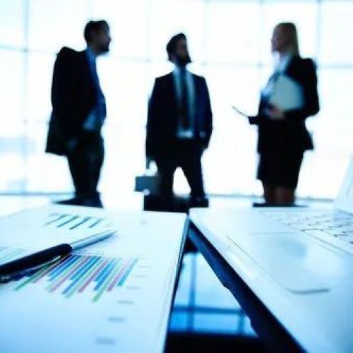 Business Management Consultancy Services