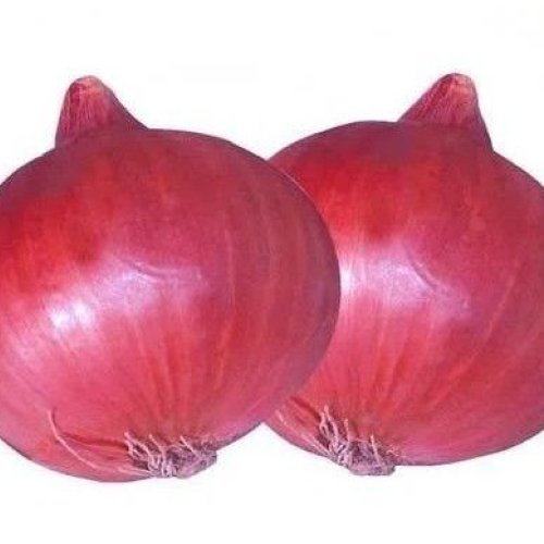 Pink Onion