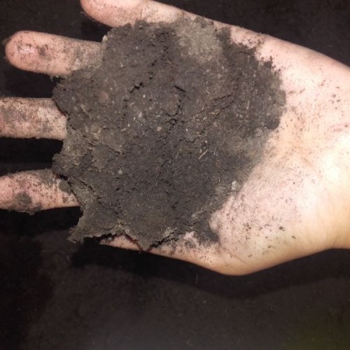 Bone Meal Fertilizer