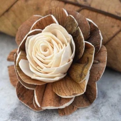 Brown Sola Wood Flower