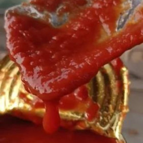 Canned Tomato Paste