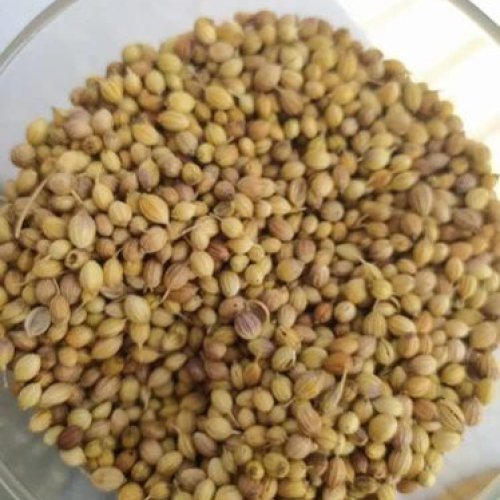 Coriander Seeds