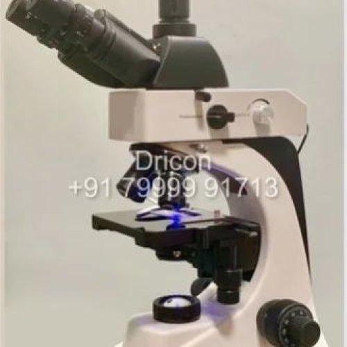 Fluorescence Microscope