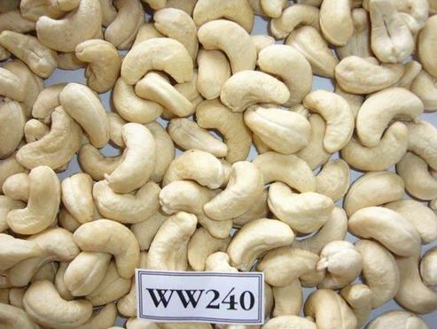 cashew nuts