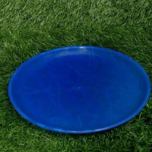 Blue Plastic Plate