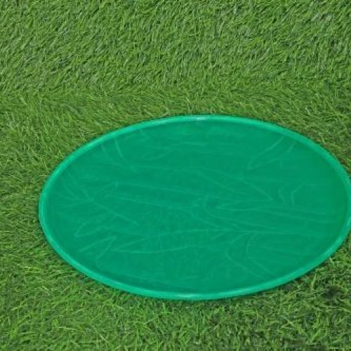 Green Plastic Plate