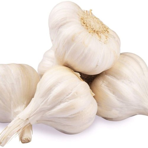 Fresh Desi Garlic