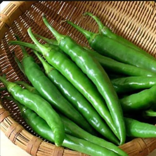 A Grade Green Chilli