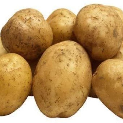 Fresh Pukhraj Potato