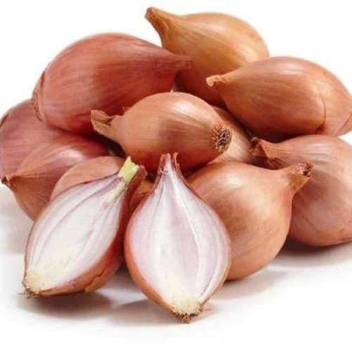 Fresh Shallot Onion